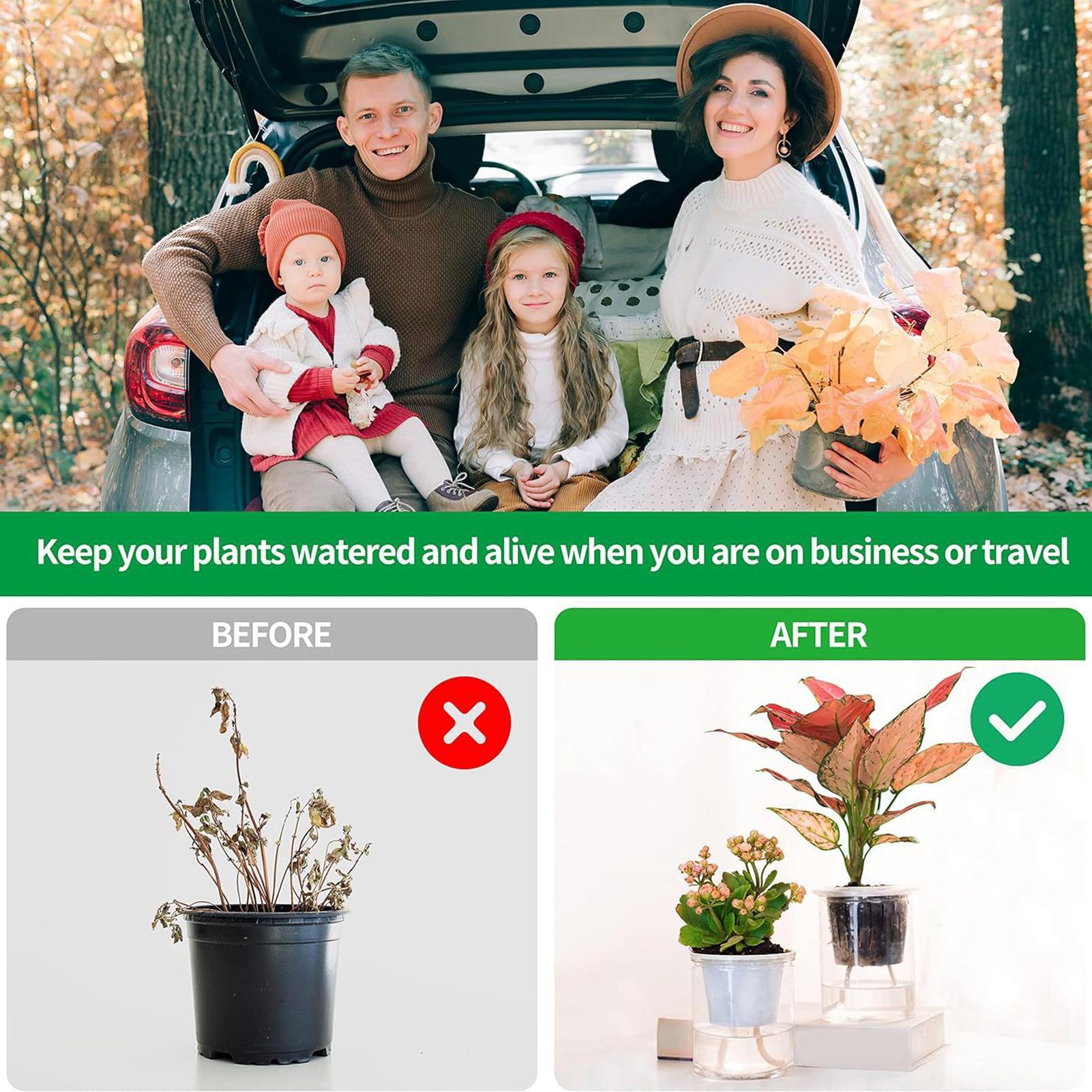 Plantenwikken voor zelfwaterge - Self-Watering Planter recensie en prijs