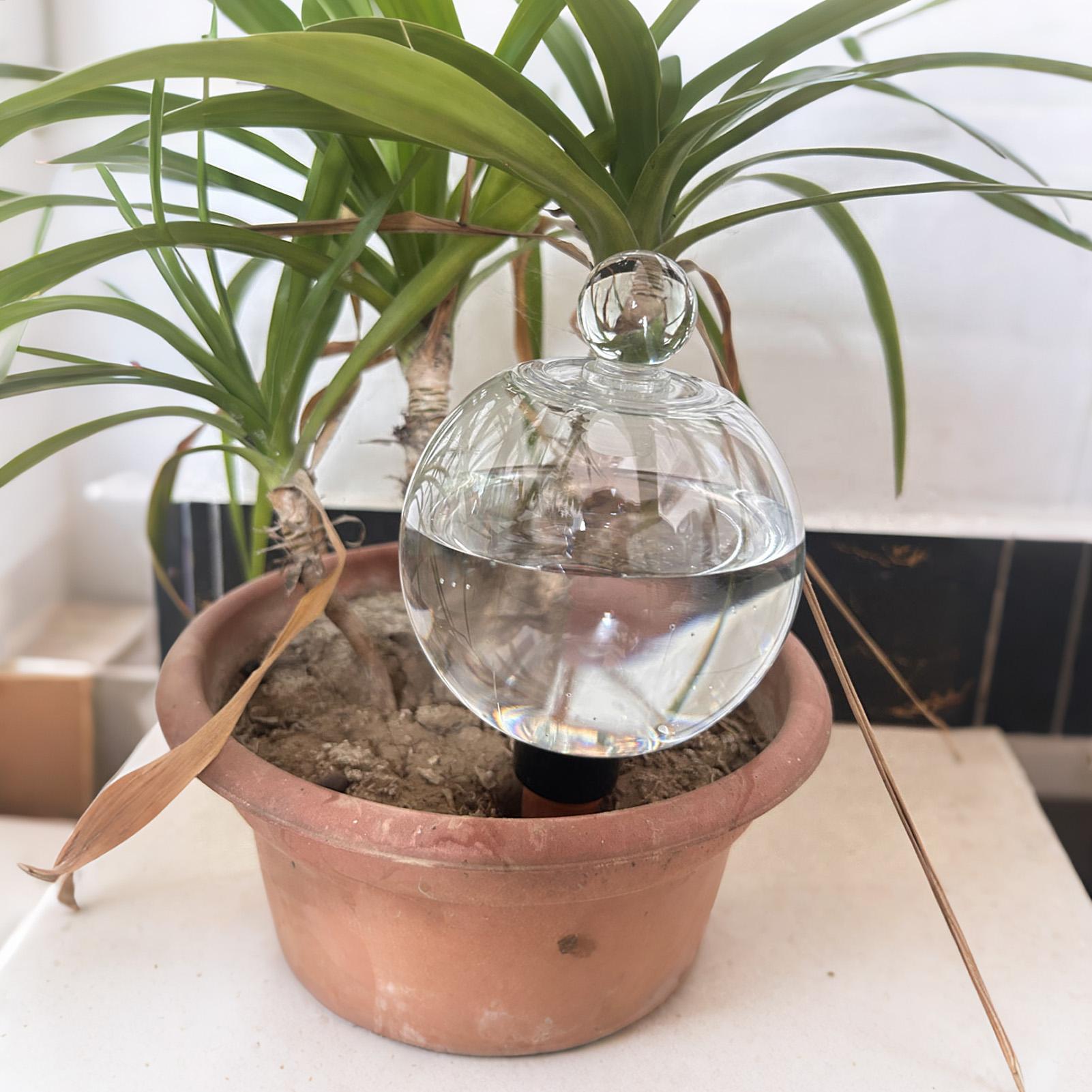Plantenbewateringsbollen 4 stu - Automatic Plant Waterer recensie en prijs