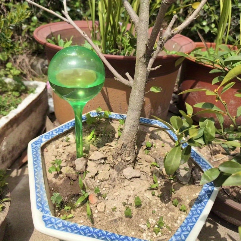 6 stuks zelfwatergevende balle - Automatic Plant Waterer recensie en prijs
