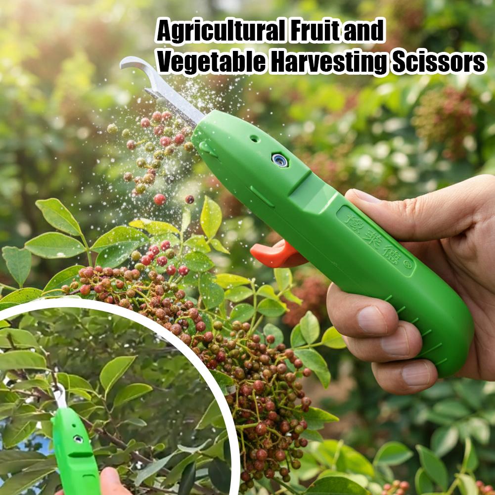 Fruit- en groentepluk schaar,  - Gardening Tools Vegetables recensie en prijs