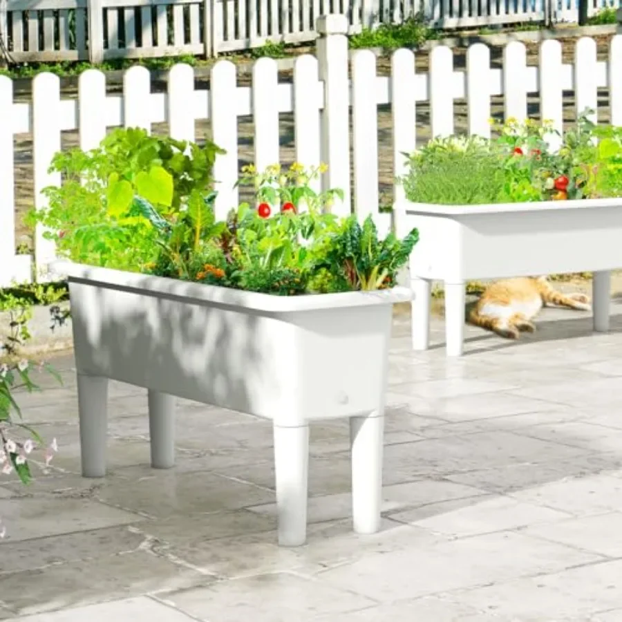 Verhoogde plantenbakken voor b - Self-Watering Planter recensie en prijs
