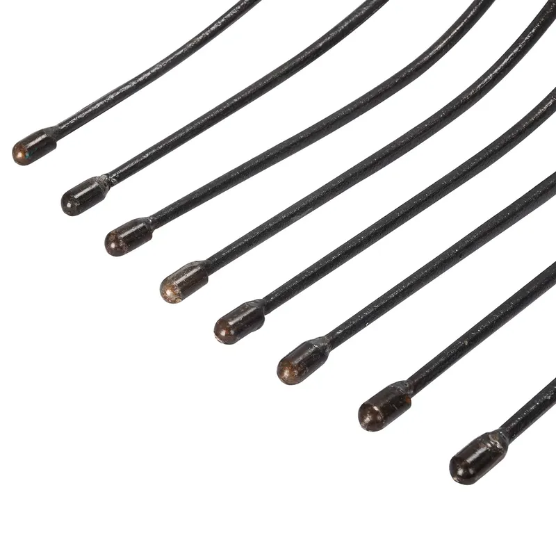 Winslow & Ross 4-tands gesmede - Spade Digging Fork recensie en prijs